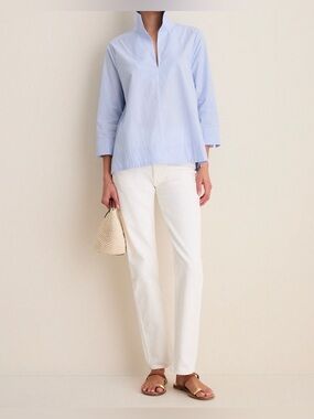 Tuckernuck Margot Stand Collar Pinstripe Popover Tunic Blouse